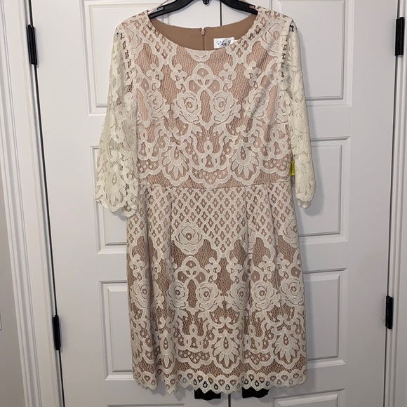 NWT Eliza J Lace Dress - Picture 1 of 4